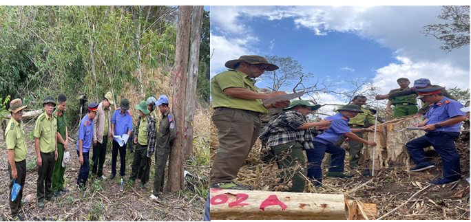 Viện kiểm sát nhân dân khu vực 7 - Khánh Hòa thực hành quyền công tố và kiểm sát khám nghiệm hiện trường vụ việc có dấu hiệu hủy hoại rừng