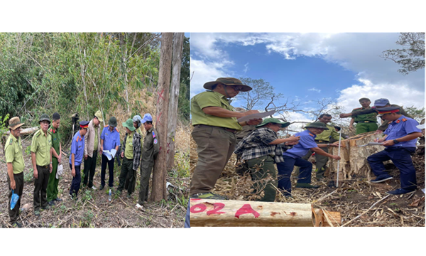 Viện kiểm sát nhân dân khu vực 7 - Khánh Hòa thực...