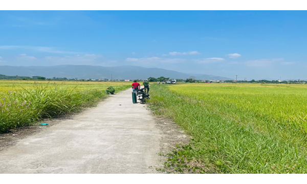 HUYỆN DIÊN KHÁNH: LIÊN TIẾP XẢY RA CÁC VỤ XÂM HẠI TÌNH...